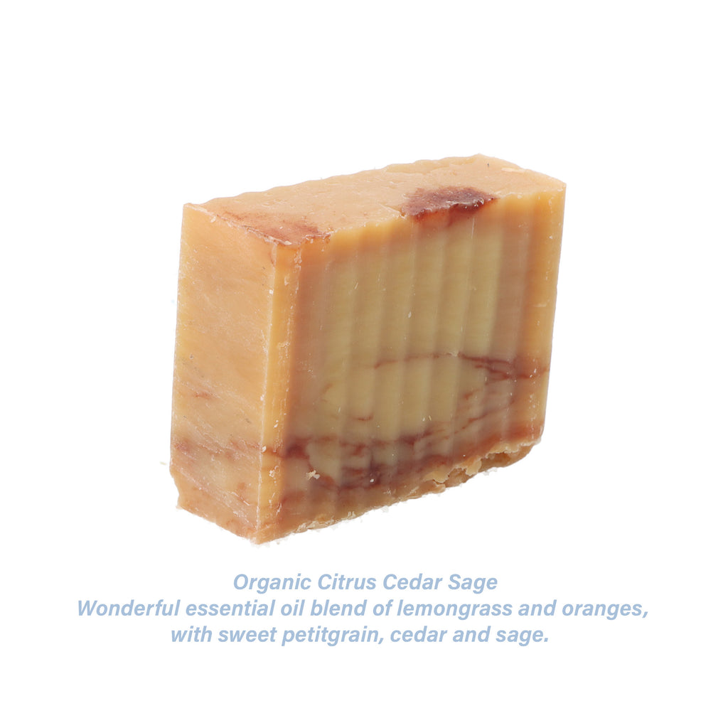 Citrus Cedar Sage Bar Soap